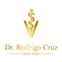 Dr. Rodrigo Cruz - São Paulo